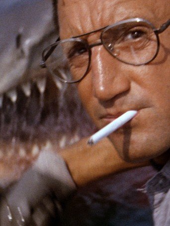 SHARK PARTY - DOUBLE SÉANCES REQUINS